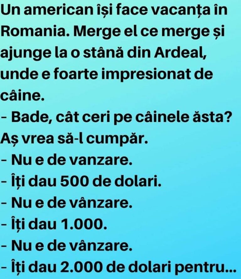 Un american își face vacanța în Romania, ajunge la o stână din Ardeal: „Bade, cât ceri pe câinele ăsta?”